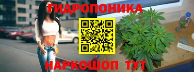 индика Азнакаево