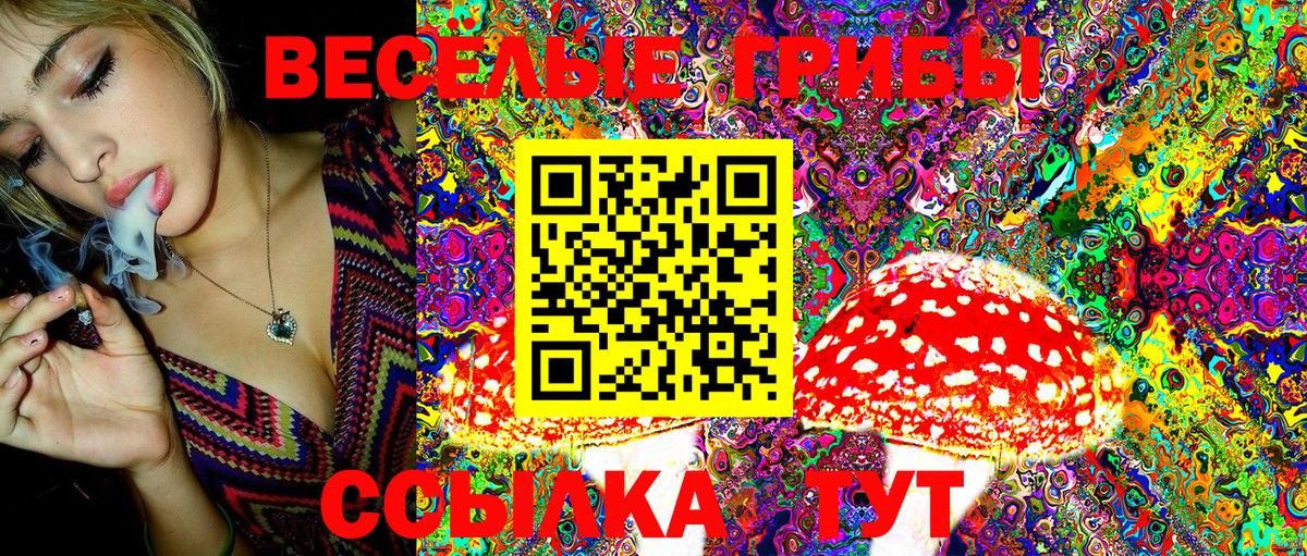 Галлюциногенные грибы Psilocybine cubensis  наркота  Псилоцибиновые грибы Psilocybine cubensis  Астрахань 