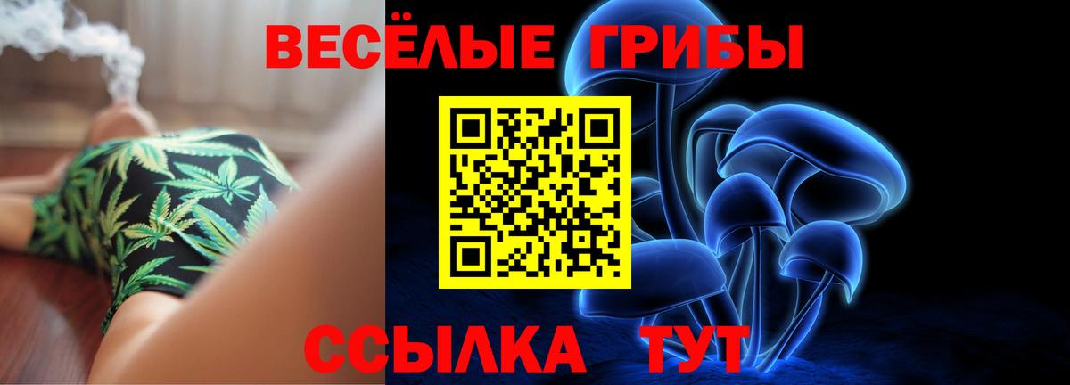 Галлюциногенные грибы Cubensis Астрахань
