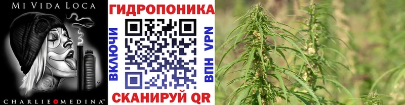 Марихуана планчик  OMG маркетплейс  Астрахань 